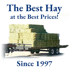 US Hay has been selling the best hay at the best prices since 1980.
